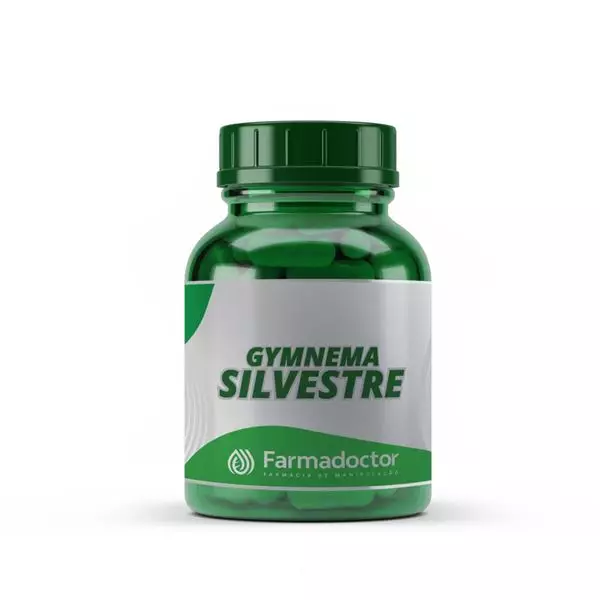Gymnema Silvestre 500mg